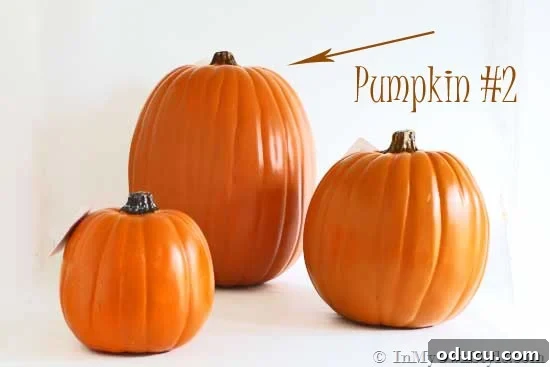Foam Pumpkins from Michaels for carving house numbers. Selection of foam pumpkins at Michaels craft store, ideal for carving and fall decorating projects.