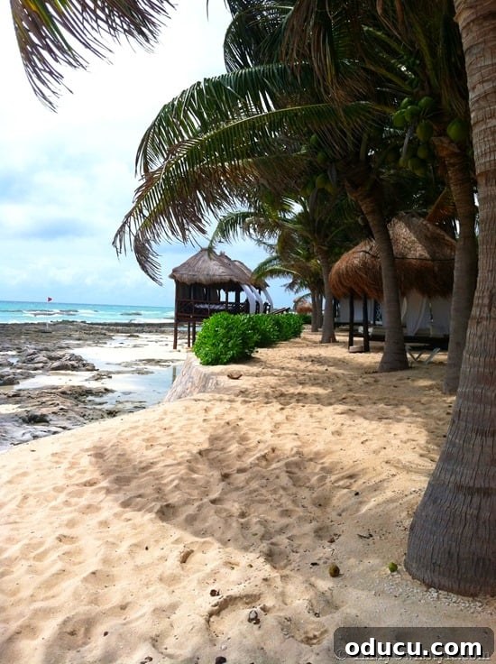 Iconic Beach Huts at El Dorado Royale Resort Stunning beach huts at El Dorado Royale Resort, epitomizing luxury and relaxation in the Riviera Maya.