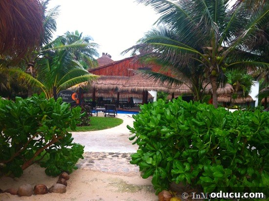 Scenic Beach Bar at El Dorado Royale A charming beach bar nestled on the white sands of El Dorado Royale, perfect for enjoying cocktails by the sea.