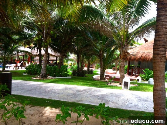 Scenic Beach to Path Transition A beautiful pathway leading from the beach into the lush resort grounds, perfect for leisurely strolls.