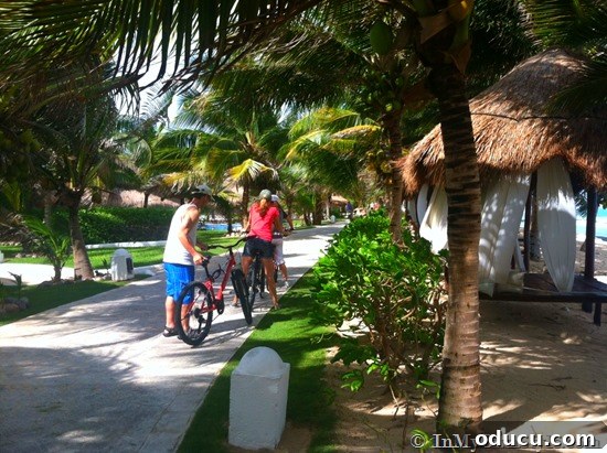 Bikes Available on Resort Path Bicycles parked on a resort path in Mexico, available for guests to explore the expansive El Dorado Royale.