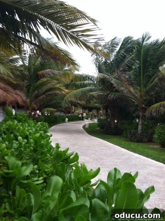 Picturesque Resort Path Lush pathway winding through the tropical gardens of El Dorado Royale, inviting guests to explore.