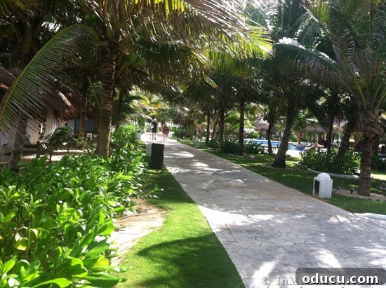 Bright and Sunny Resort Path Sunny pathway bathed in tropical light, offering a tranquil route through the El Dorado Royale resort.