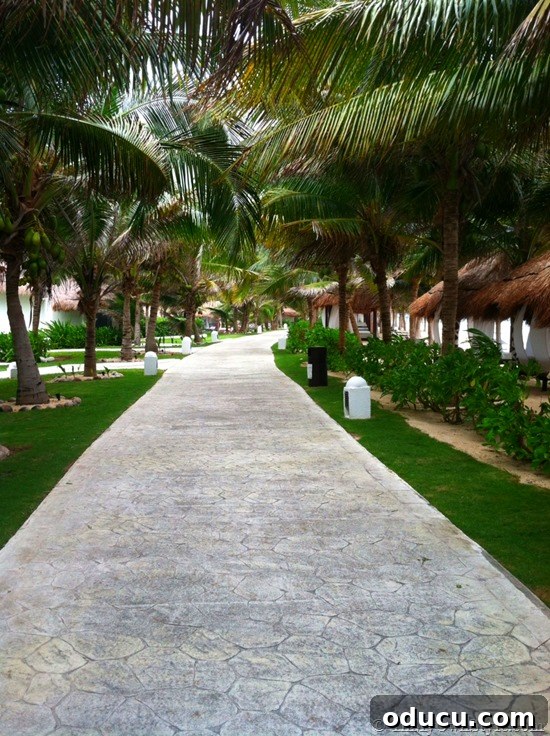 Walking path at El Dorado Royale Resort in Mexico Beautiful walking path at El Dorado Royale Resort in Mexico, connecting various parts of the luxurious property.