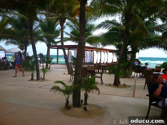 Jo Jo's Beachfront Dining Experience Jo Jo's restaurant, offering exquisite beachfront dining at El Dorado Royale with stunning ocean views.