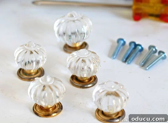 Five cabinet knobs arranged, ready to be attached as feet and a handle to the pumpkin candy jar.