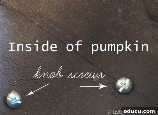 Interior view of the pumpkin, showing the heads of the screws securing the cabinet knob feet.