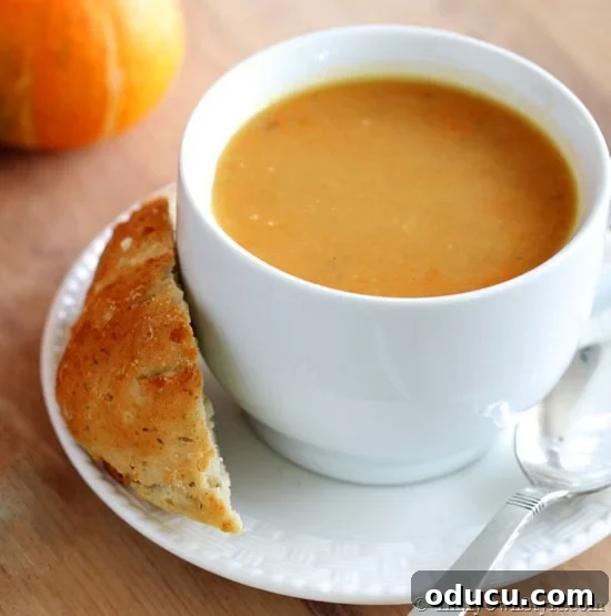 One-Pot-Veggie-Soup-Recipe One Pot Veggie Soup Recipe, perfect for a quick and healthy dinner.