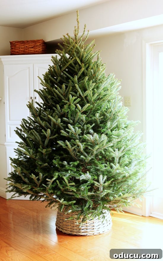 Step-by-step guide to turning a large basket into a Christmas Tree skirt