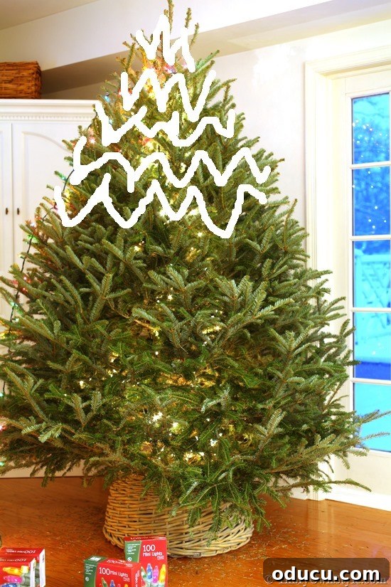 How-to-string-lights-on-a-Christmas-Tree-the-easy-way #Christmastreelightingtips #EasytoinstallChristmastreelights #BestwaytoputlightsinarealChristmastree #HowtostringlightsonaChristmastree #BestwaytolightaChristmastree #HowtoputlightsonaChristmastree #PuttinglightsonaChristmastree An example of wrapping Christmas tree lights from the top, demonstrating an efficient stringing technique.
