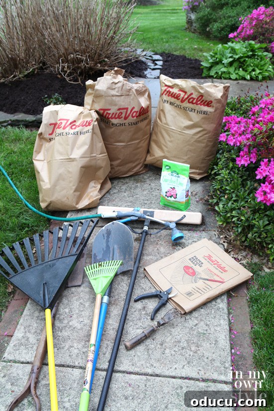 Achieve Vibrant Pink or Blue Hydrangeas 4 Completed spring cleanup and mulching of a flower bed