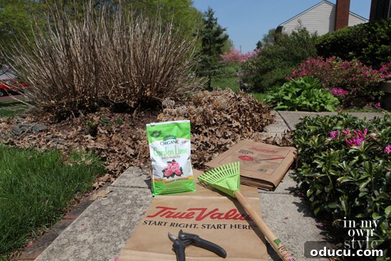 Achieve Vibrant Pink or Blue Hydrangeas 2 How to change the color of hydrangeas with soil amendments