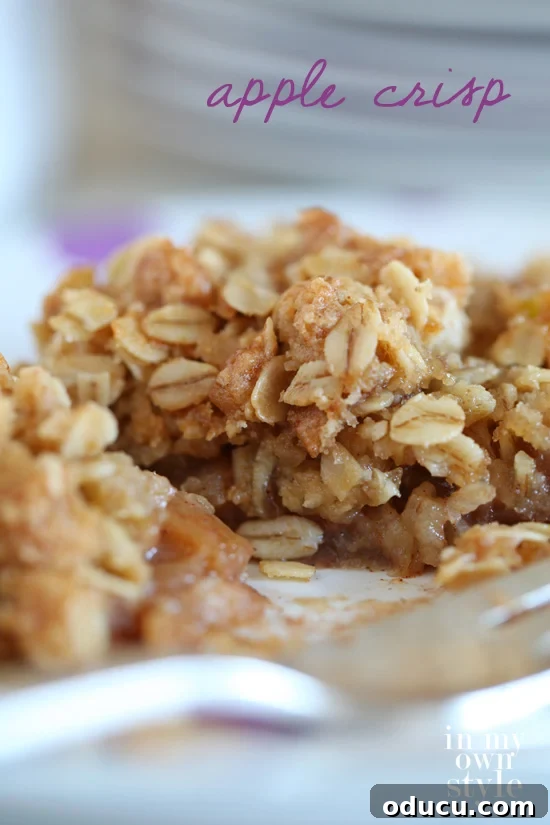 The best Old-Fashioned Apple Crisp recipe, warm and bubbling from the oven.