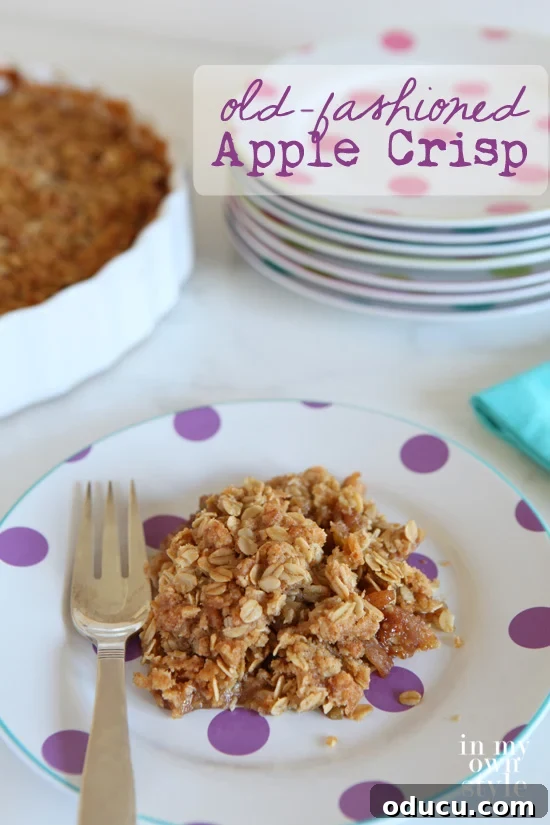 A serving of Old-Fashioned Apple Crisp with a scoop of vanilla ice cream.