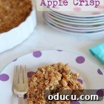 A close-up of the delicious Old-Fashioned Apple Crisp with ice cream.
