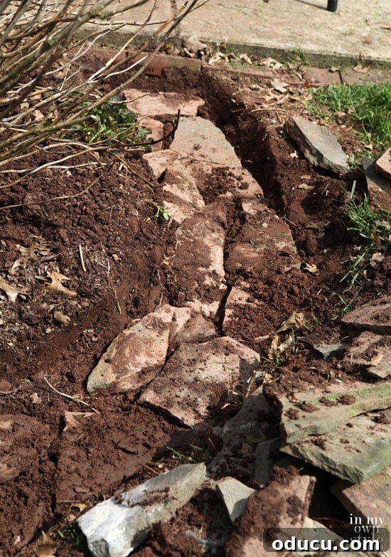 Placing the largest stones for the base of a garden wall