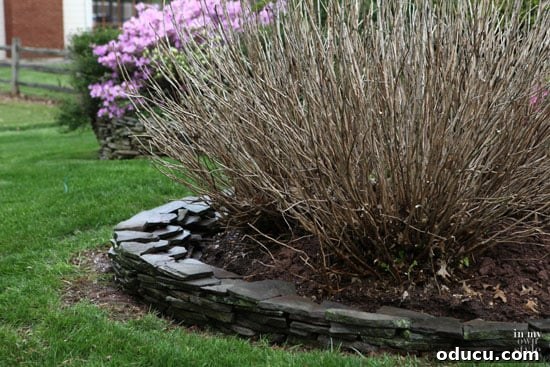 DIY landscaping ideas featuring capstones on a fieldstone wall