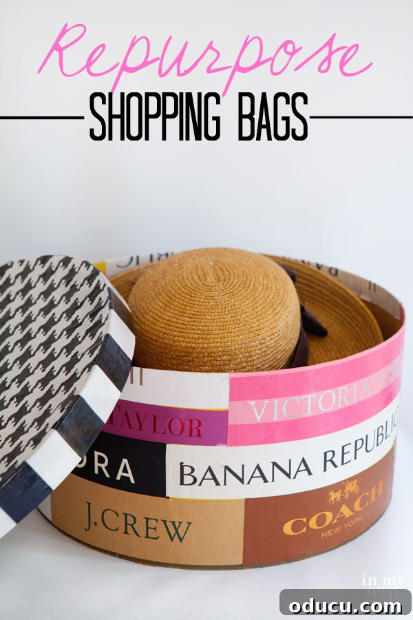 Closet Organization Refined: The Designer Hatbox 5 Stylish closet storage ideas using repurposed bags