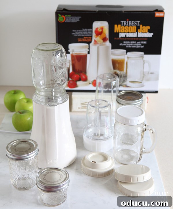 Effortless Mason Jar Blueberry Smoothies 4 Tribest Mason Jar Blender for Kitchen and Healthy Living