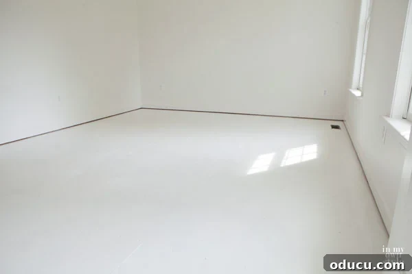 My Dream Fitness Sanctuary 3 The Final Touch: Painting Your Subfloor for a Radiant Home Gym