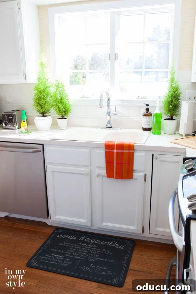 Green Thumb Secrets Revealed 2 Lemon Cypress: A Guide to Thriving Houseplant Care