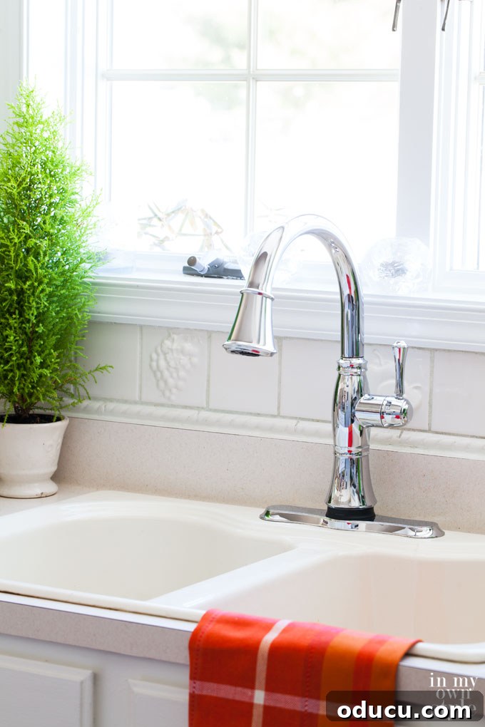 Green Thumb Secrets Revealed 3 Revolutionary Delta Touch2O Faucet for Home and Plants