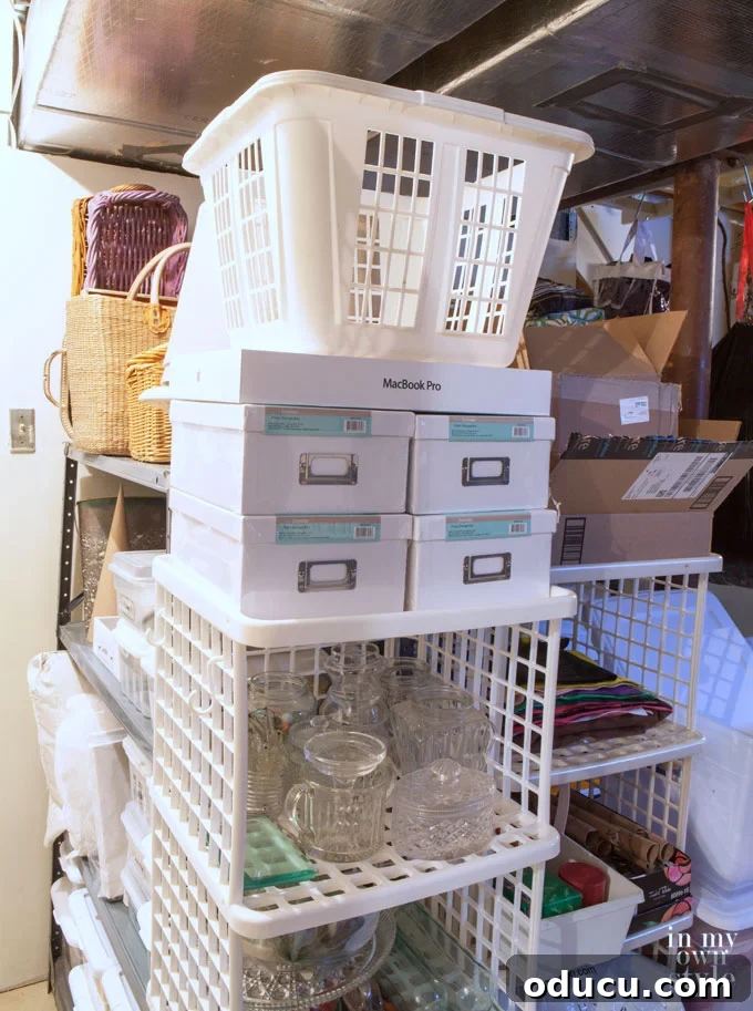 Master Your Basement: Declutter Once, Stay Organized Always 9 Ready-to-use storage containers for future organization