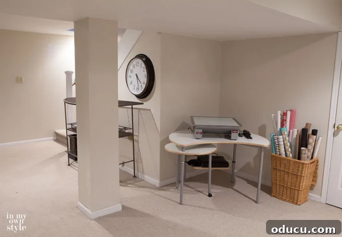 Master Your Basement: Declutter Once, Stay Organized Always 3 Transitional items in basement storage