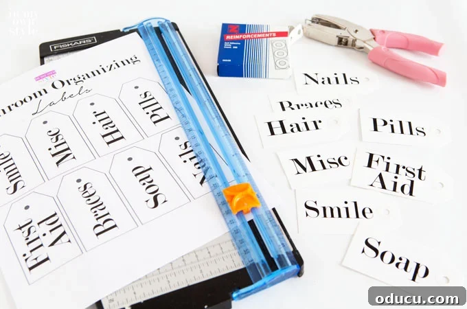 Dollar Store Chic: Organize Your Home on a Dime 2 Step-by-step guide on how to cut free printable labels efficiently