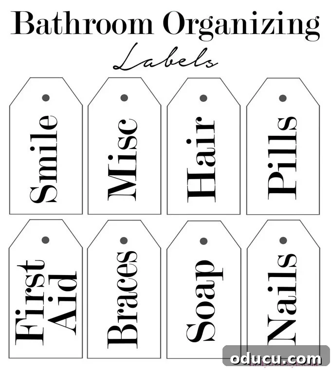 Dollar Store Chic: Organize Your Home on a Dime 3 Free printable organizing labels designed for various bathroom products