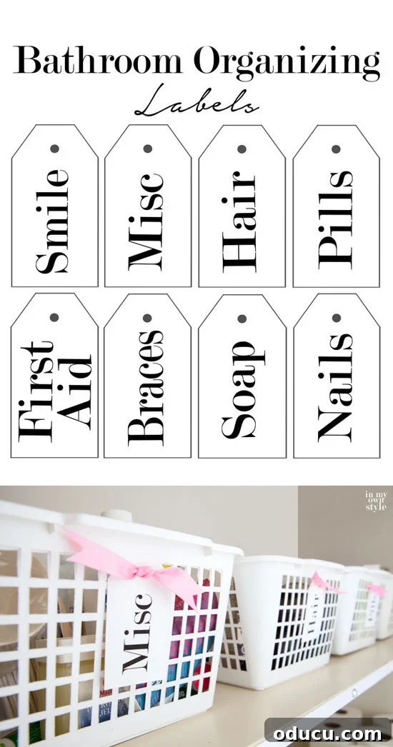 Dollar Store Chic: Organize Your Home on a Dime 5 Dollar Store baskets receive a stylish upgrade with these free printable labels for efficient bathroom organization. | In My Own Style