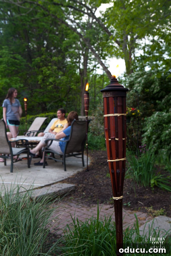 Zesty Grilled Chicken: Your Go-To Outdoor Meal 6 Summer Outdoor Patio and Deck Party Ideas with stunning lighting