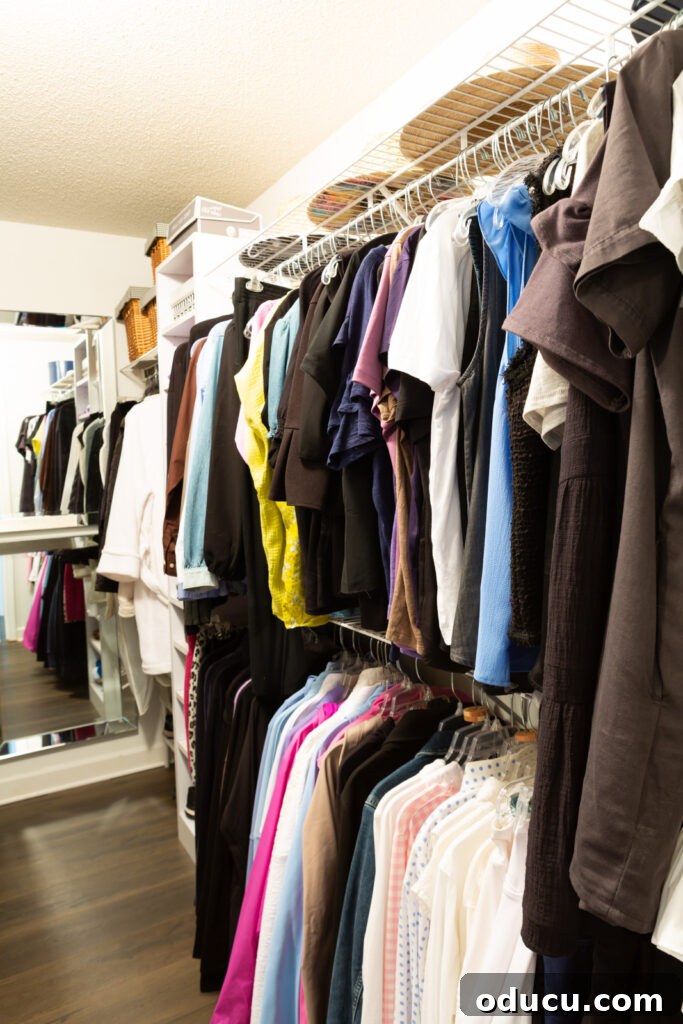 Budget Closet Hacks 8 Organized clothes closet showing seasonal arrangement