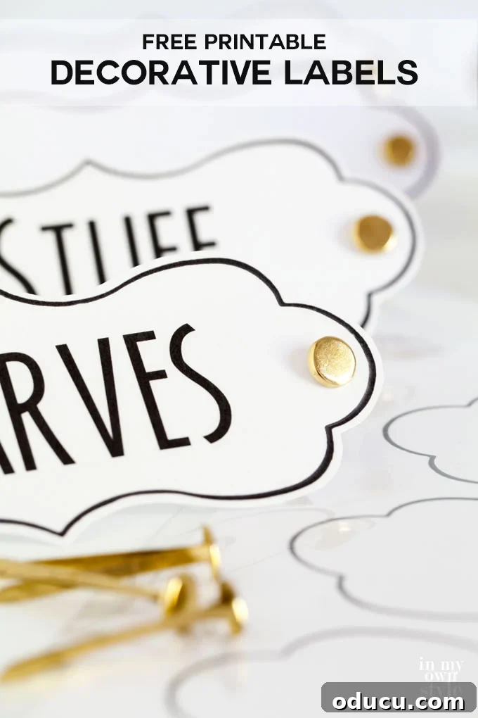 Learn the easy way to make pretty and affordable free printable labels for organizing all the stuff around your home . They are laminated too...wait to you see how easy they are to make. Free printable labels to download and use to label boxes, bins, and baskets around your home. In My Own Style
