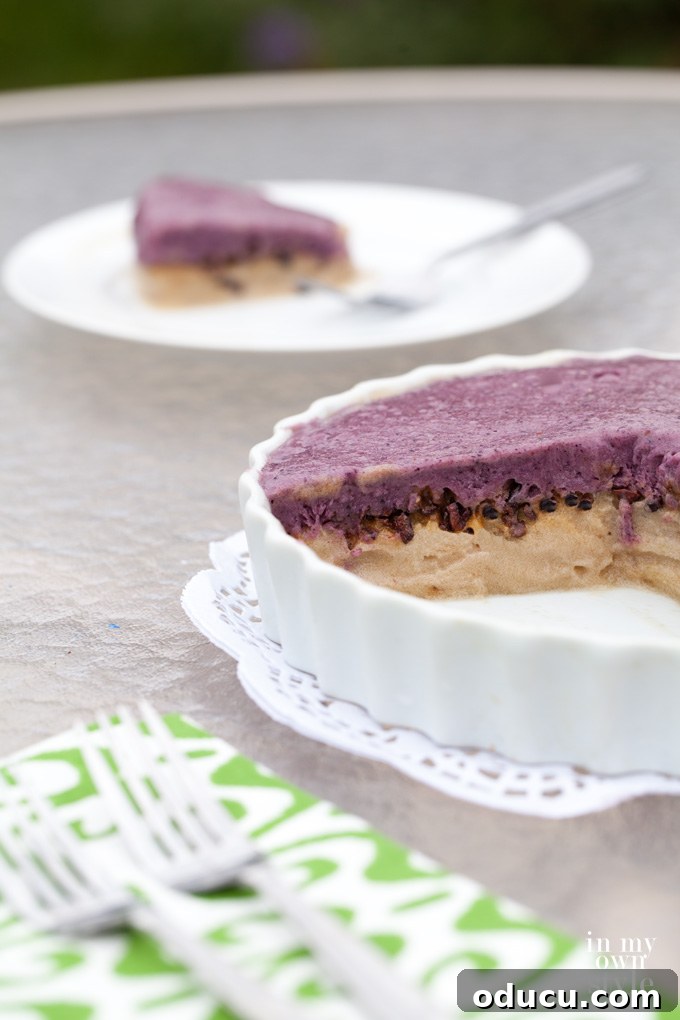 Velvet Vegan Banana Whip Cake 3 Healthy and Frozen fruit desserts like banana whip cake
