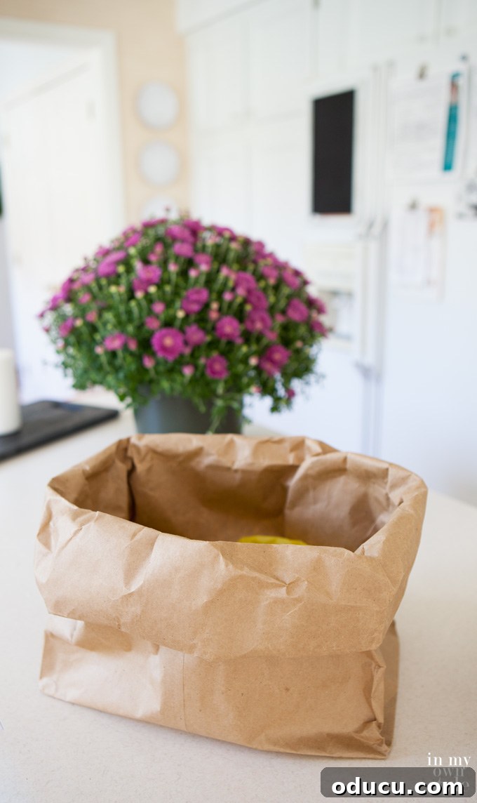 Quick & Chic Brown Paper Bag Vase 4 How to make a vase using a paper bag tutorial