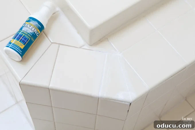 Renew Your Grout: A Quick and Simple Whitening Solution 2 Grout-recoating-product