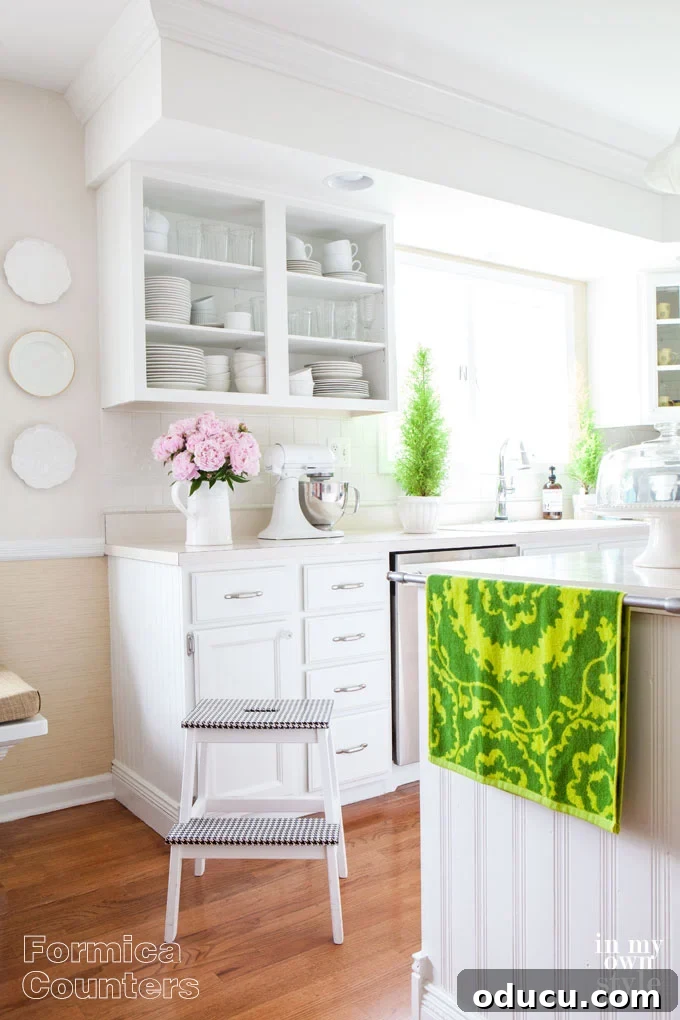 Kitchen Counter Glow-Up 2 Budget decorating ideas for kitchen counter tops