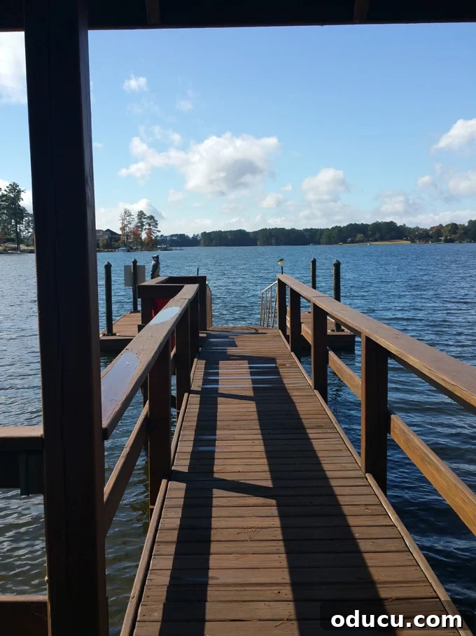 Crowning My New Home 3 dock