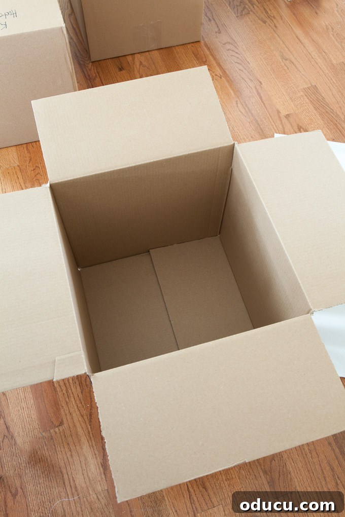 Move Like a Master: Your Expert Packing Guide 5 Best place to buy cheap moving boxes and packing supplies