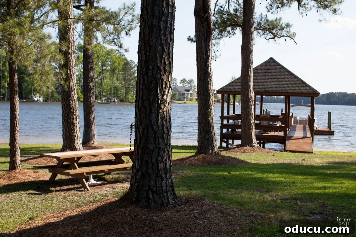 Effortless Yard Care 5 lake house yard and loblolly pines
