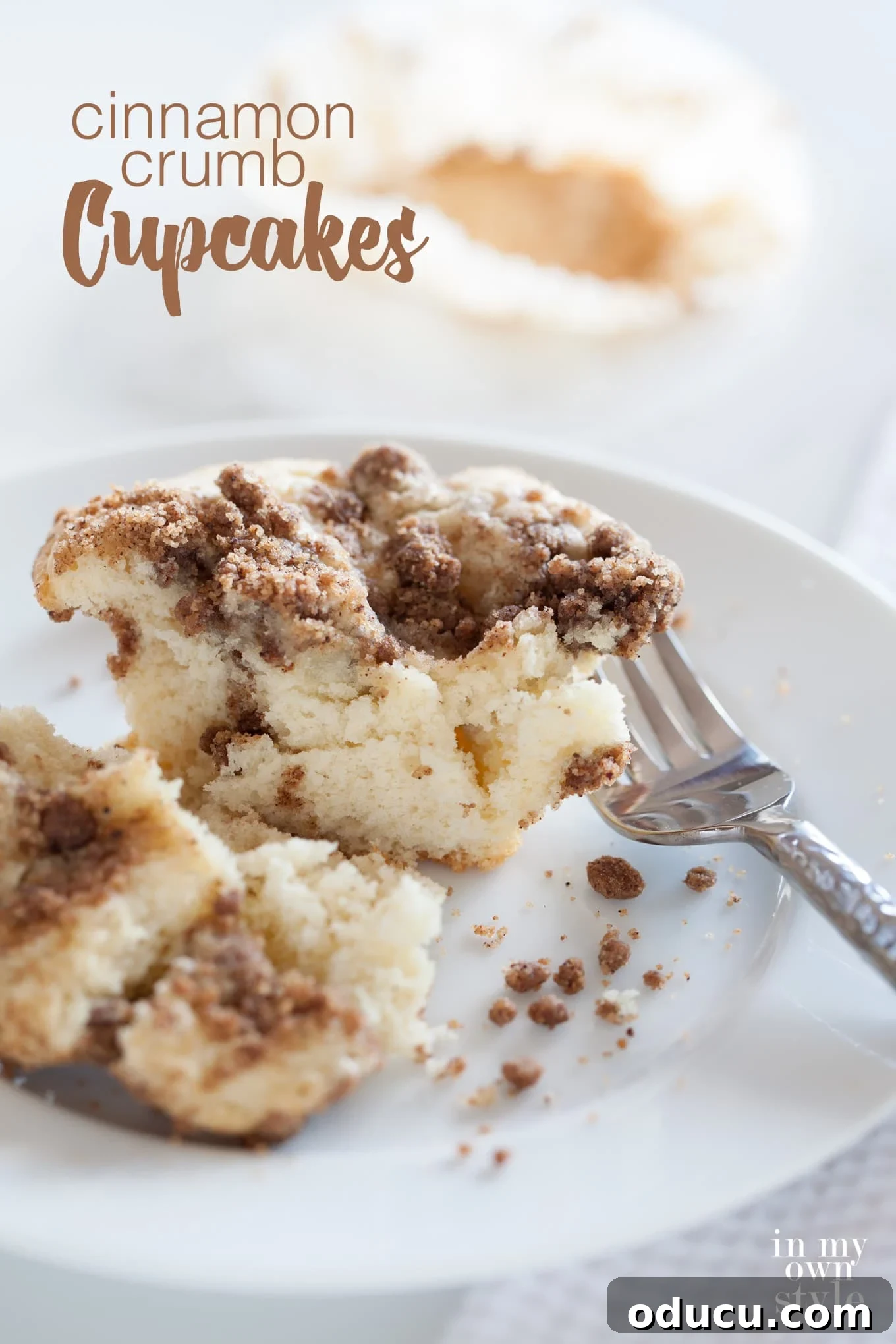 Cinnamon Crumb Cupcake Recipe that is sure to delight everyone. Perfect for breakfast or for an afternoon snack enjoyed with coffee or tea. These cinnamon crumb cake cupcakes are perfect to make for breakfast or to make for your local bake sale.