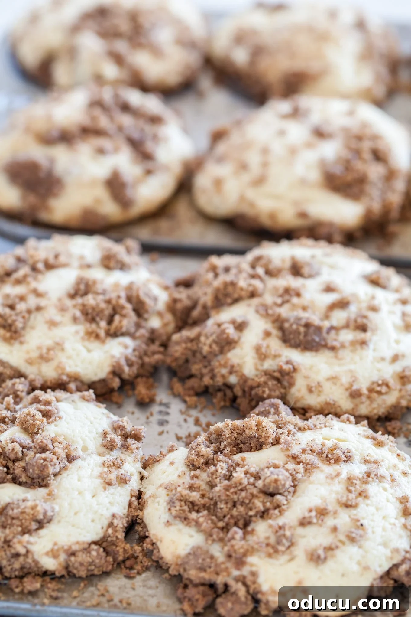 Heavenly Cinnamon Crumb Cupcakes 2 Bake sale ideas to make