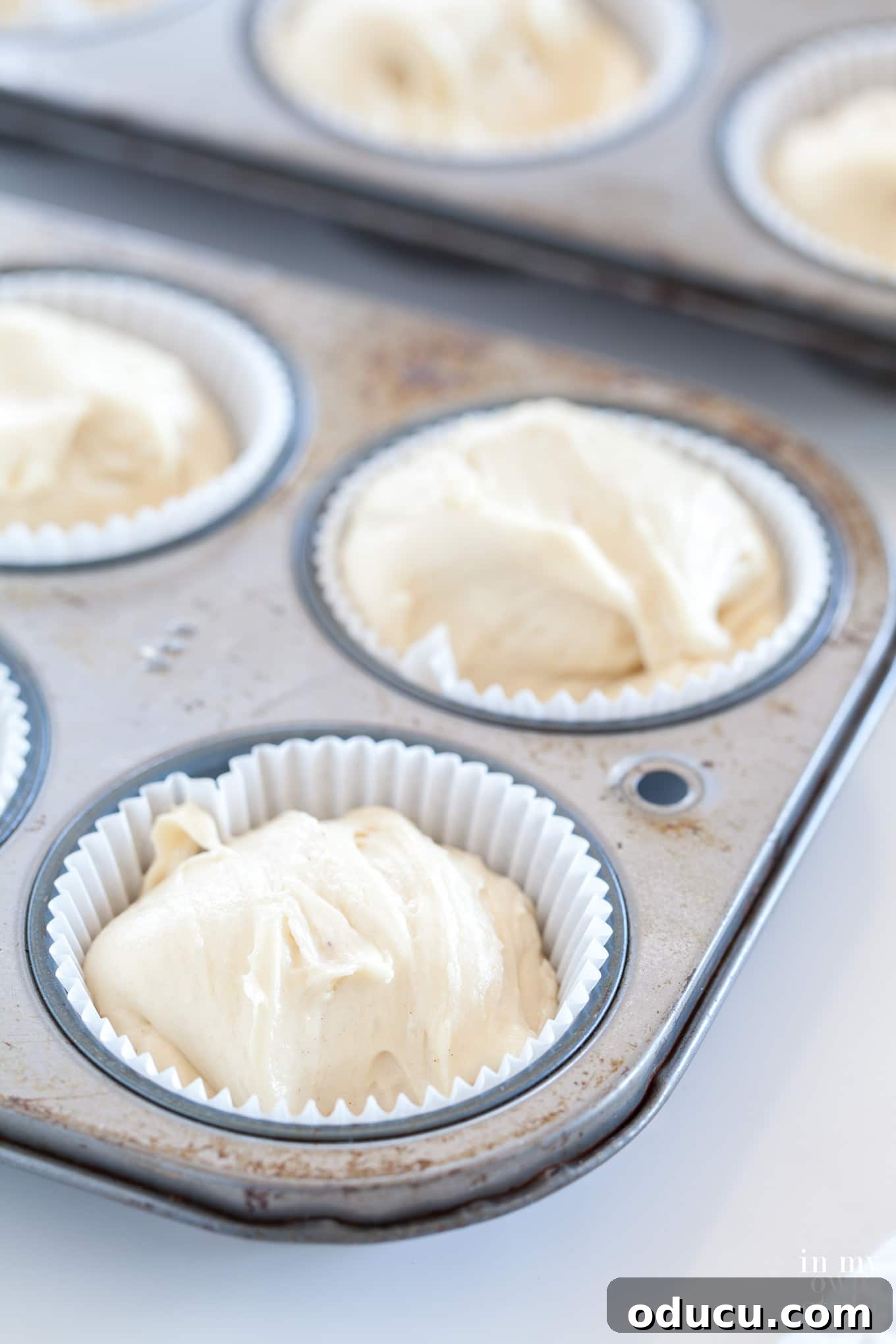 Heavenly Cinnamon Crumb Cupcakes 4 Vanilla crumb cake recipe with crumb topping