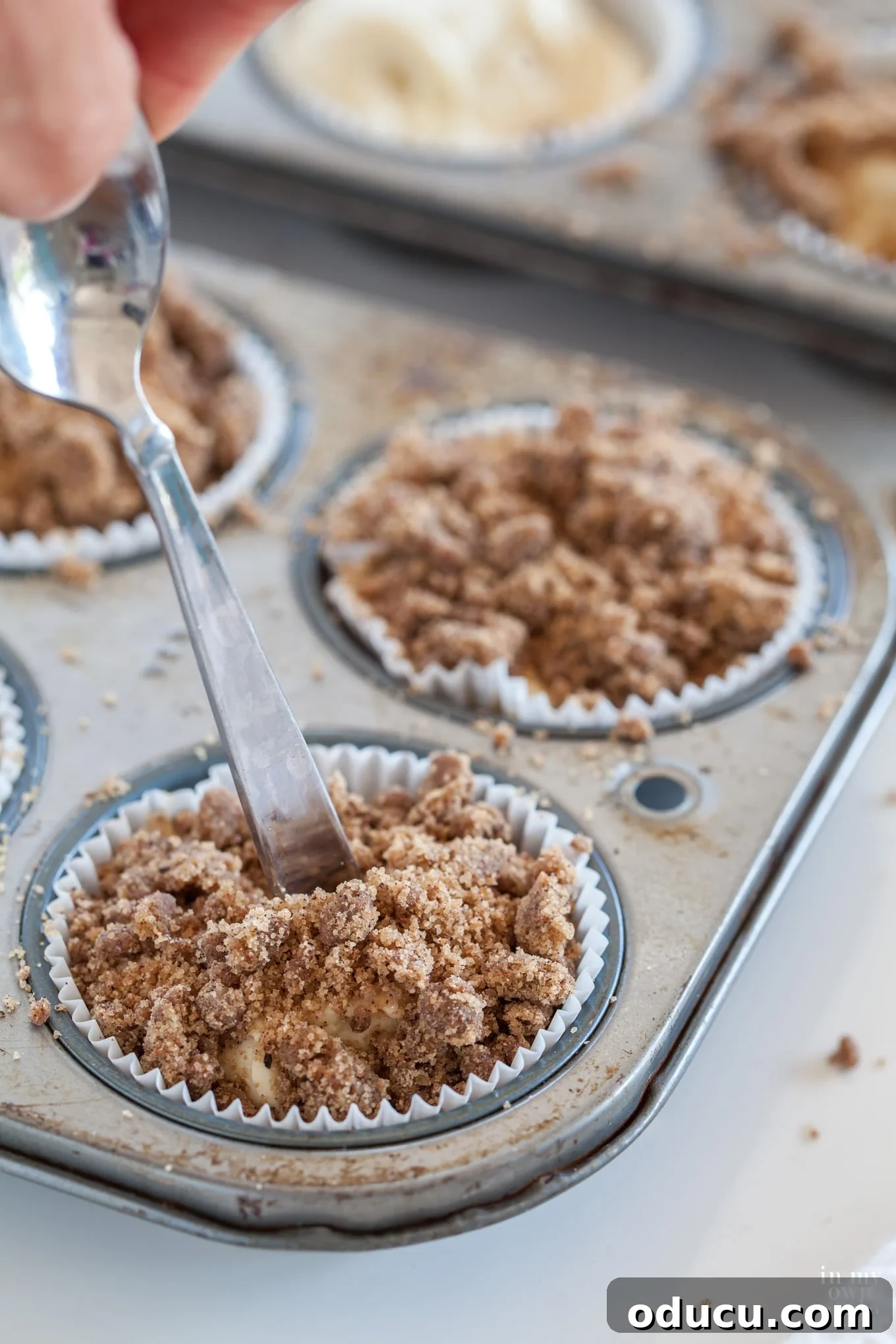 Heavenly Cinnamon Crumb Cupcakes 7 Recipe for crumb topped cake