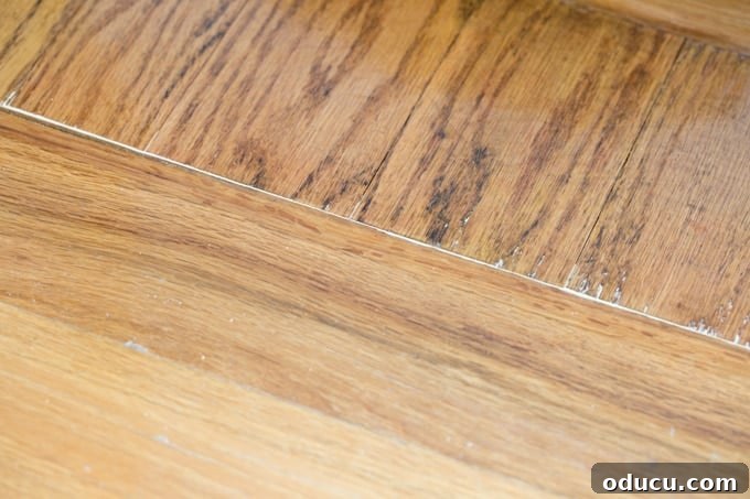 Seamless Solutions for Wide Hardwood Floor Gaps 12 Achieving a flawless finish on your wood floor repair project