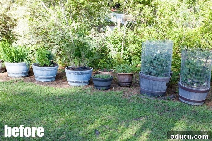 DIY Outdoor Chalk Paint 2 Before and After painted planters showing a beautiful transformation with DIY outdoor chalk paint