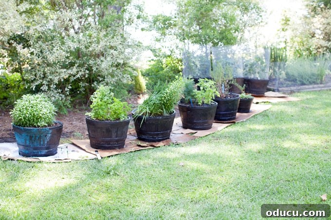 DIY Outdoor Chalk Paint 4 Instructions on how to make outdoor chalk paint for durable and weather-resistant projects