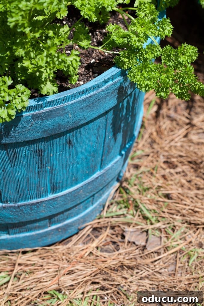 DIY Outdoor Chalk Paint 6 Can you use chalk paint on outside furniture and how to apply it for a lasting finish