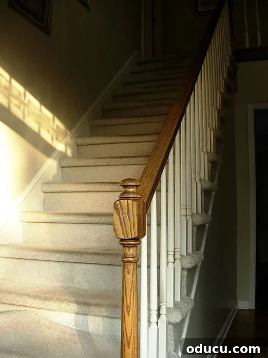Foyer Staircase with Carpet Before Makeover Before photo of a carpeted foyer staircase awaiting a DIY makeover